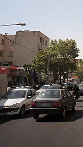 تهیه غذای یگانه