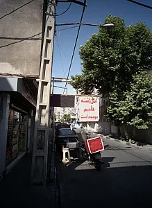 کترینگ جوجه طلایی