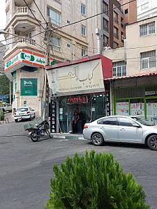 کبابی الما