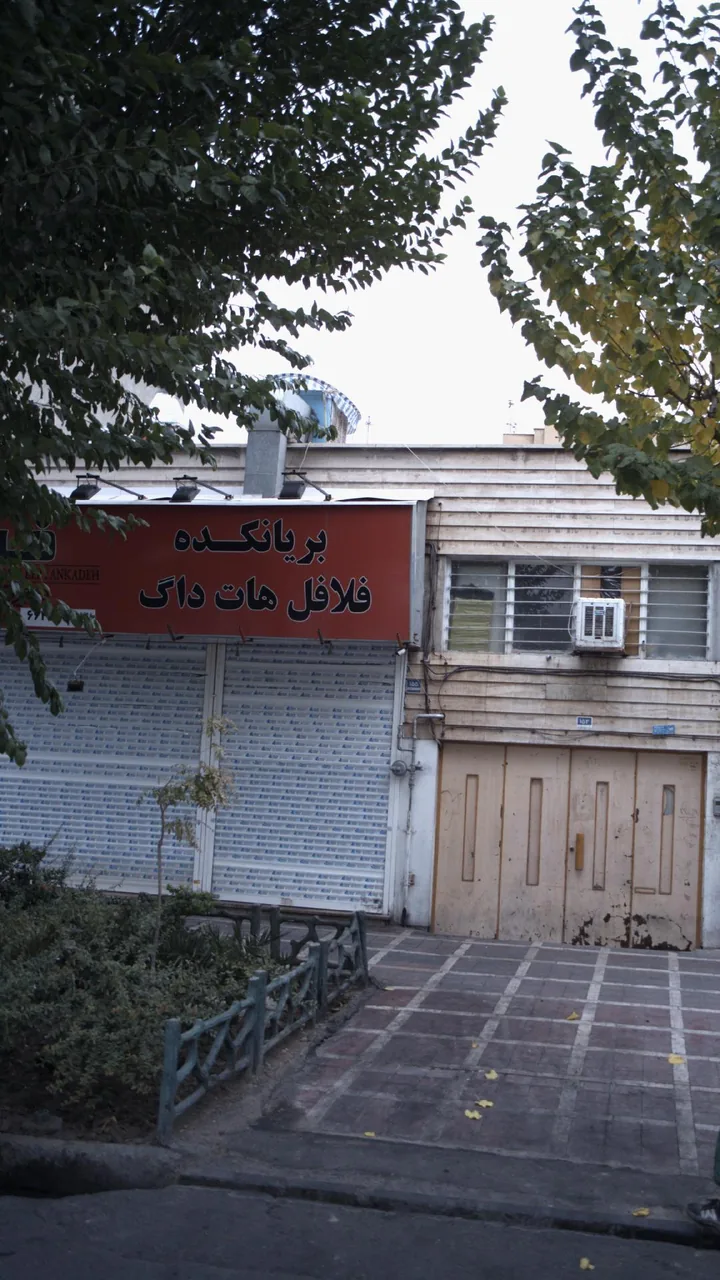 بریانکده فلافل هات داگ - تصویر 2