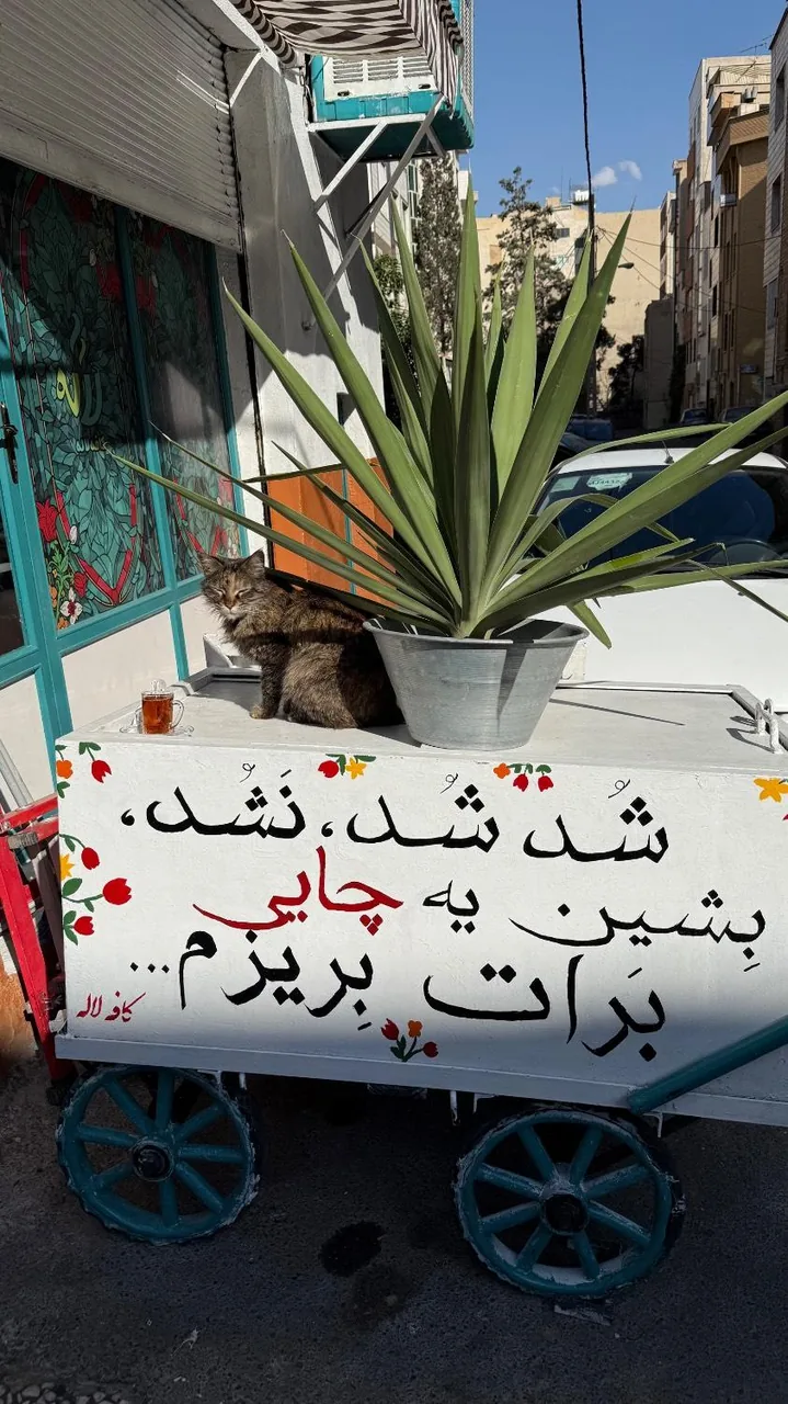 کافه لاله