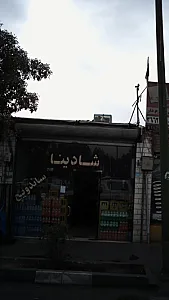 شادینا ساندویج