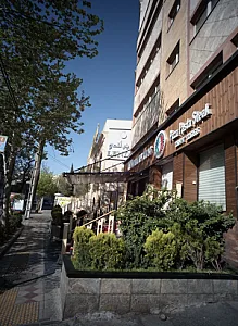 پیتزا پاستا استیک