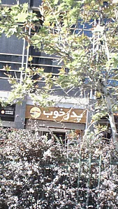 پدر خوب
