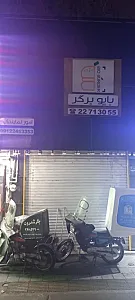 بایو برگر