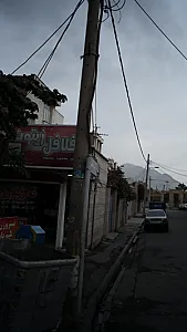 فلافل زیتون