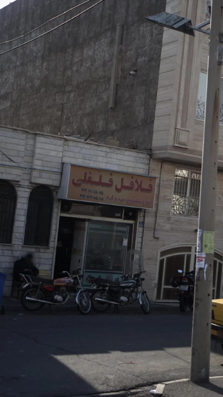 فلافل فلفلی - تصویر 2