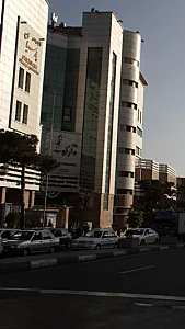 پیتزا دارکوب