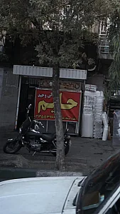 حلیم وحید