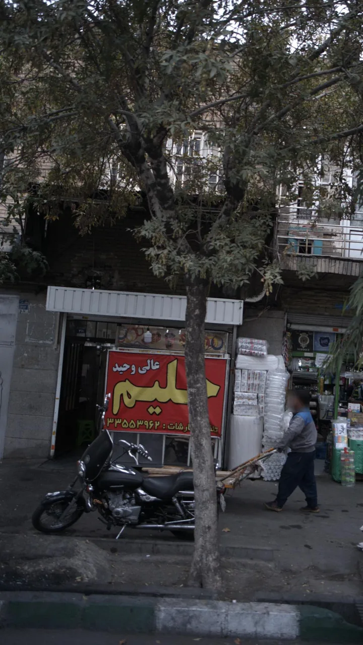 حلیم وحید - تصویر 2