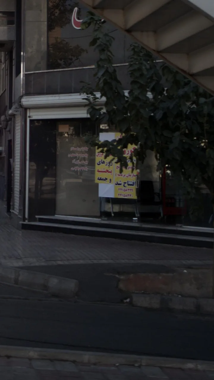 چلوکبابی
