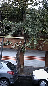 جگرسرای شبهای شاپور