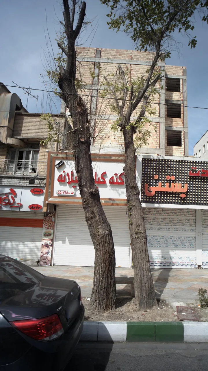 کته کباب گیلانه - تصویر 2