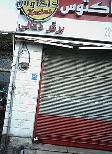 کاکتوس