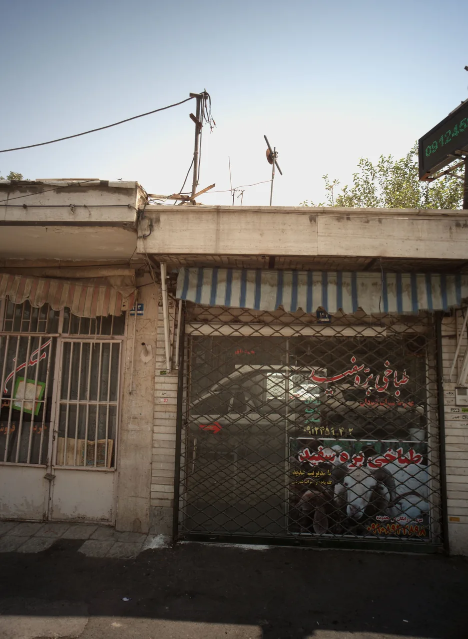 طباخی بره سفید