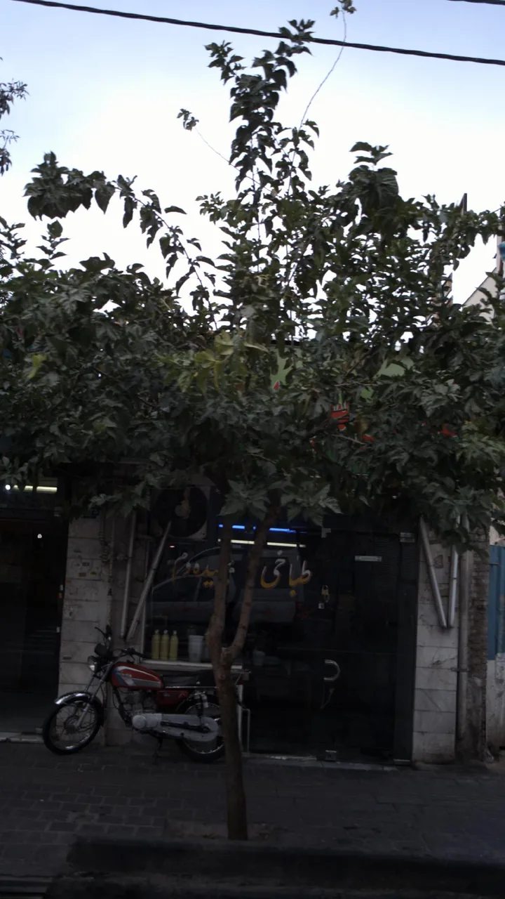 طباخی سپیده دم