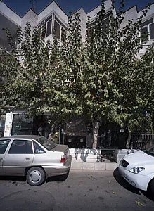 طباخی