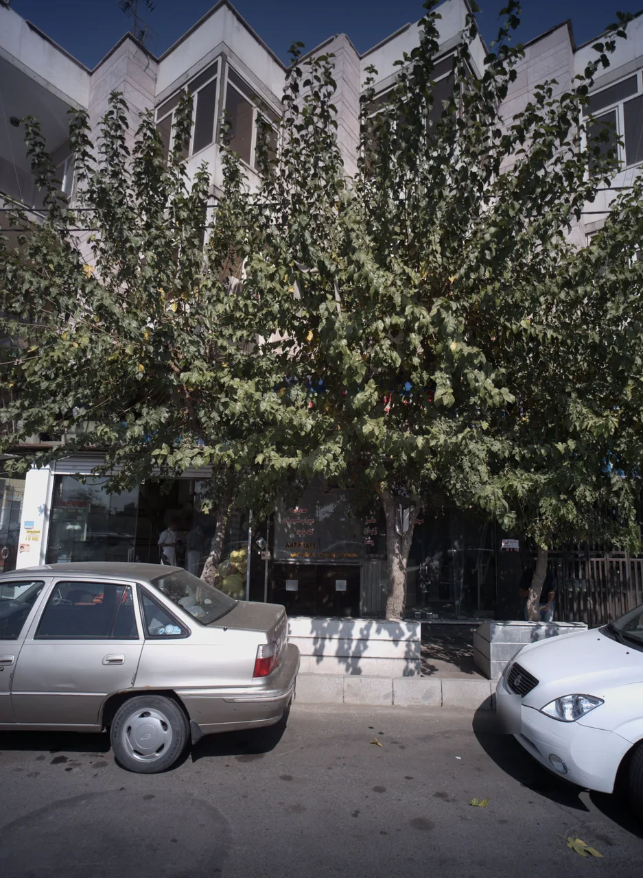 طباخی