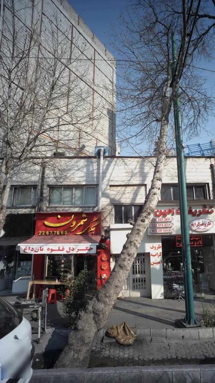 جگرکی شمرون - تصویر 2