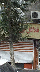 فلافل
