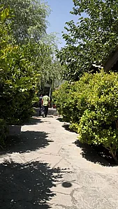 رستوران سپیدار