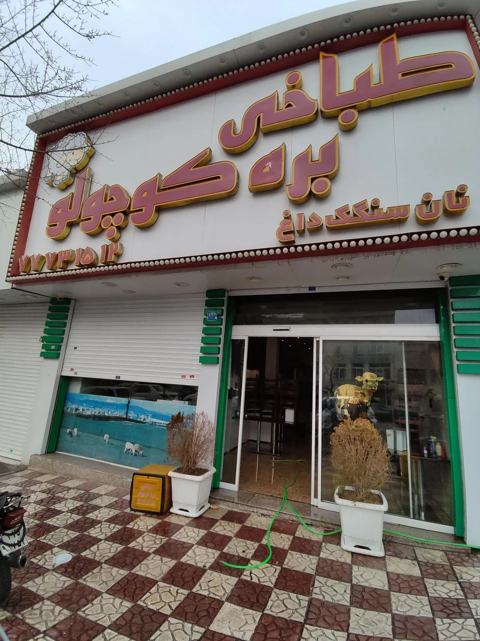 طباخی بره کوچولو - تصویر 3