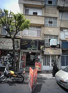 کاکتوس