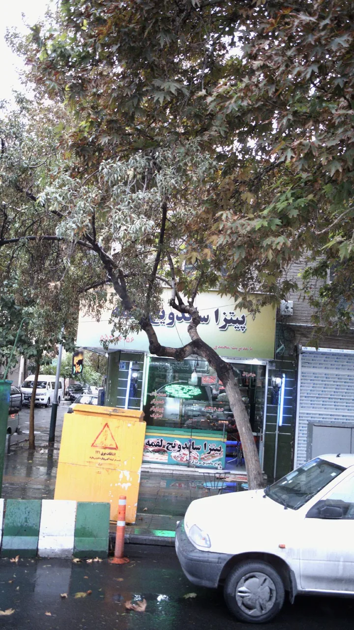 پیتزا ساندویچ یکتا - تصویر 2