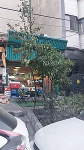 ساندویچ نادر
