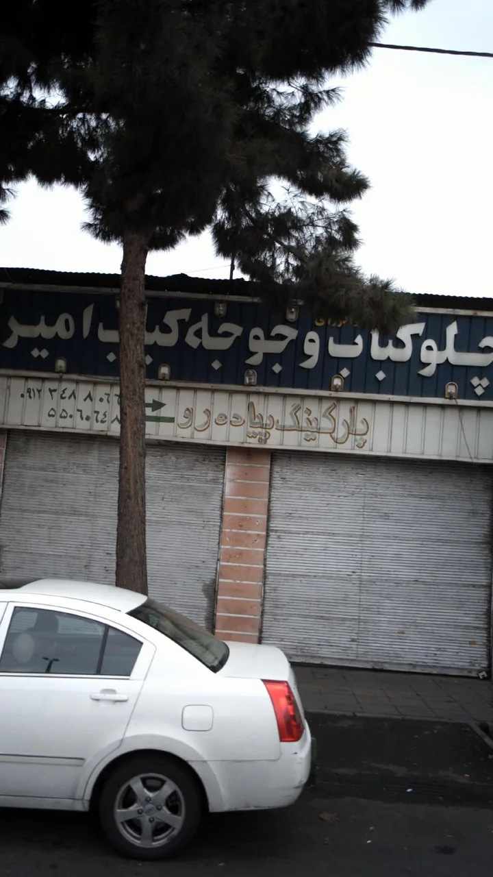 چلو کباب و جوجه کباب امیر