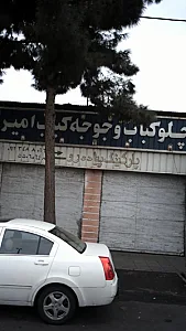 چلو کباب و جوجه کباب امیر