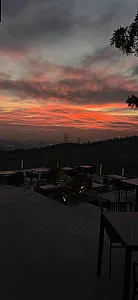 باغچه و کافه رستوران شوگار
