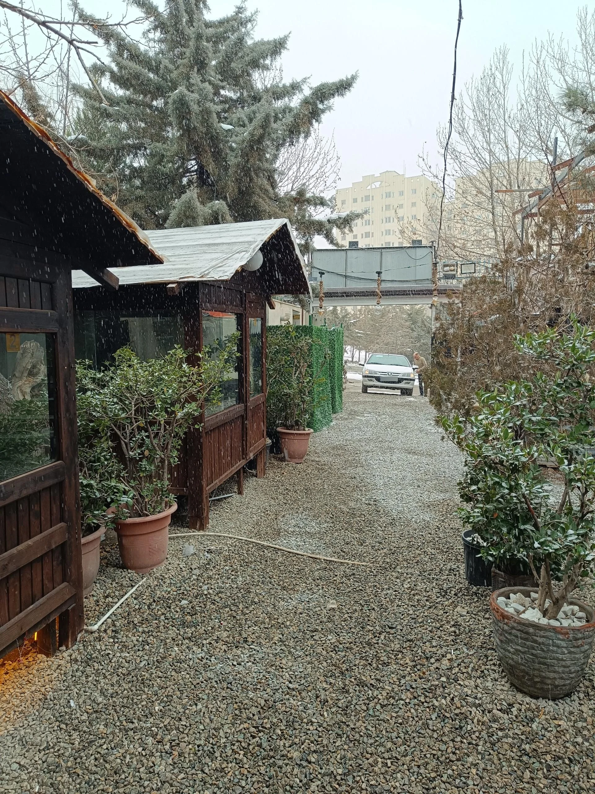 باغچه و کافه رستوران شوگار - تصویر 2