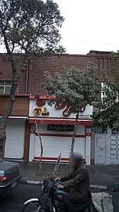 تاملی 1