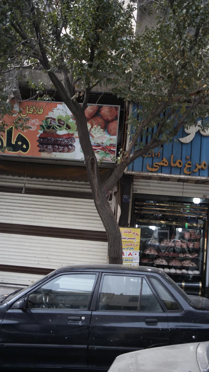 فلافل نخل - تصویر 2