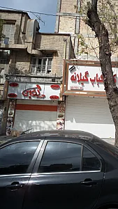 دلفین