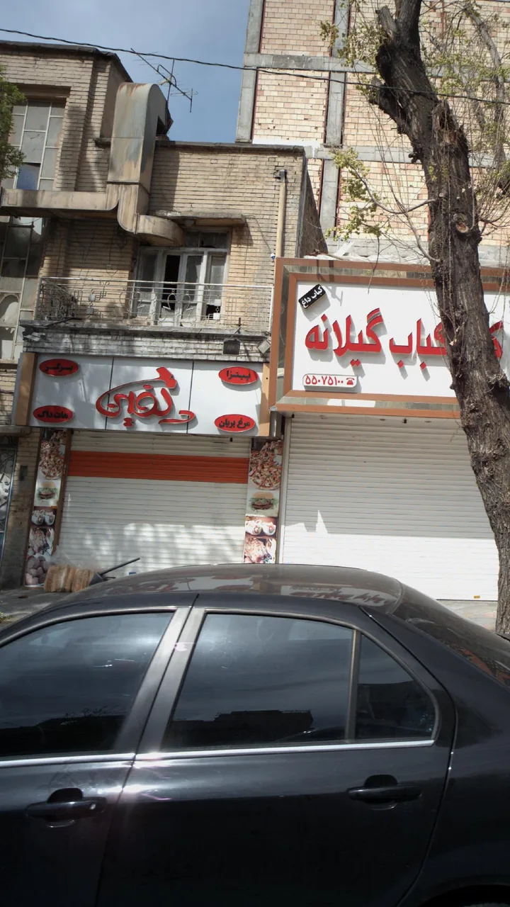 دلفین