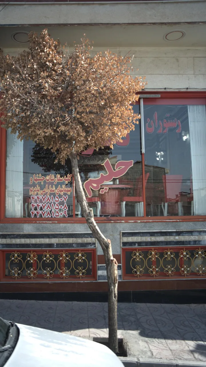 رستوران نگار - تصویر 3
