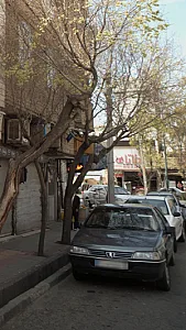 فاتای