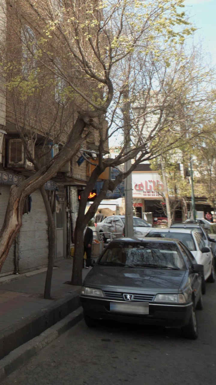فاتای