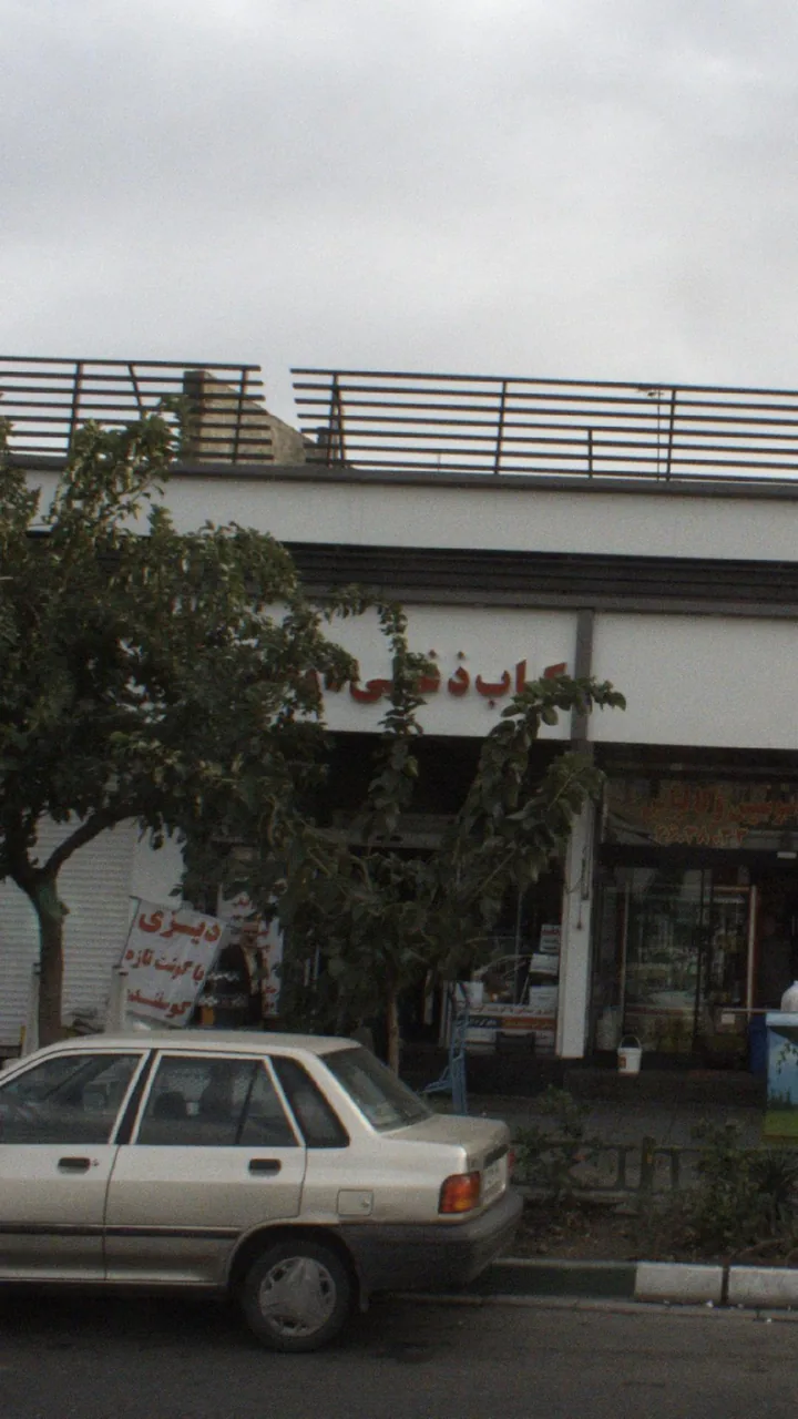 کباب ذغالی دوآتیشه