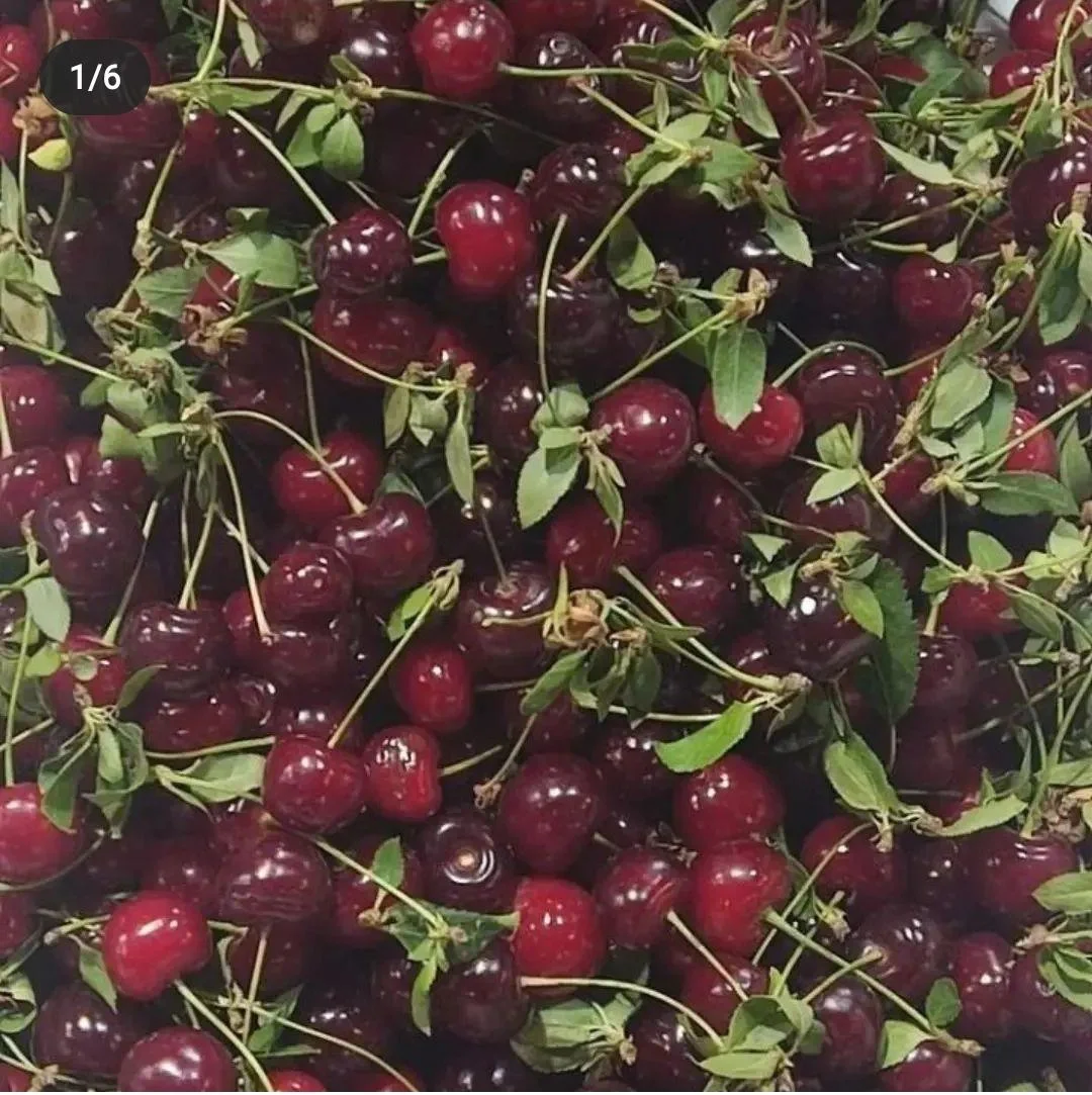 میدان تره بار رواسان