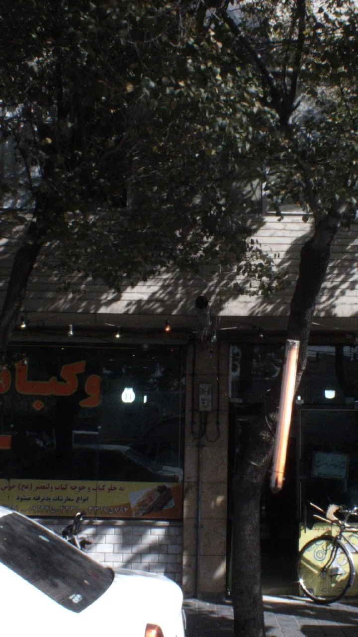 کبابی برزین