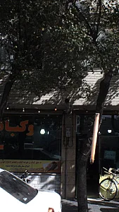 کبابی برزین