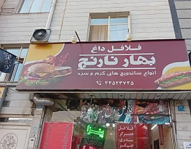 ساندویچ فلافل بهارنارنج