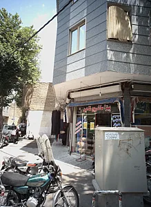 پیتزا ساندویچ شاهین