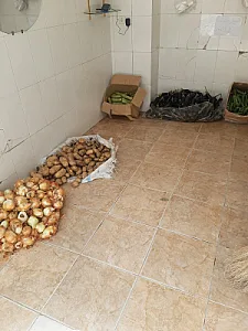میوه فروشی رشتبر