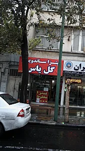 پیتزا ساندویچ گل یاس