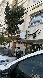 پیتزا رسپینا
