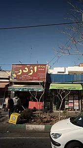 ویژه یک اژدر